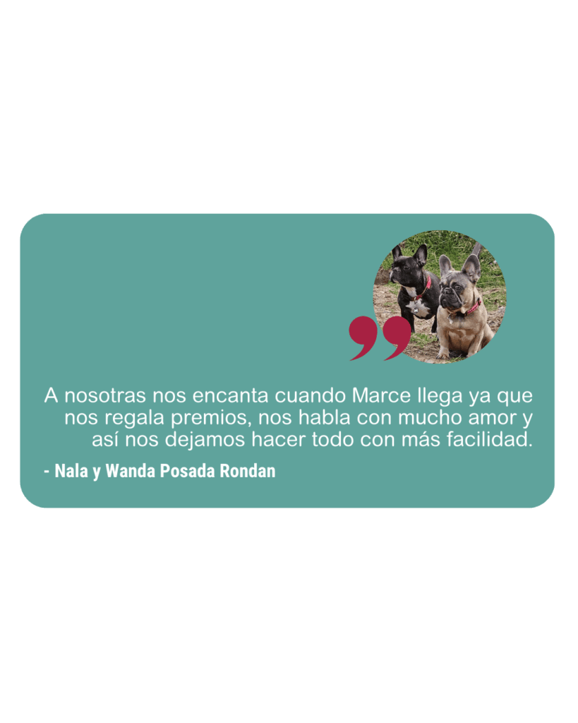 Reseña Amanimal 1