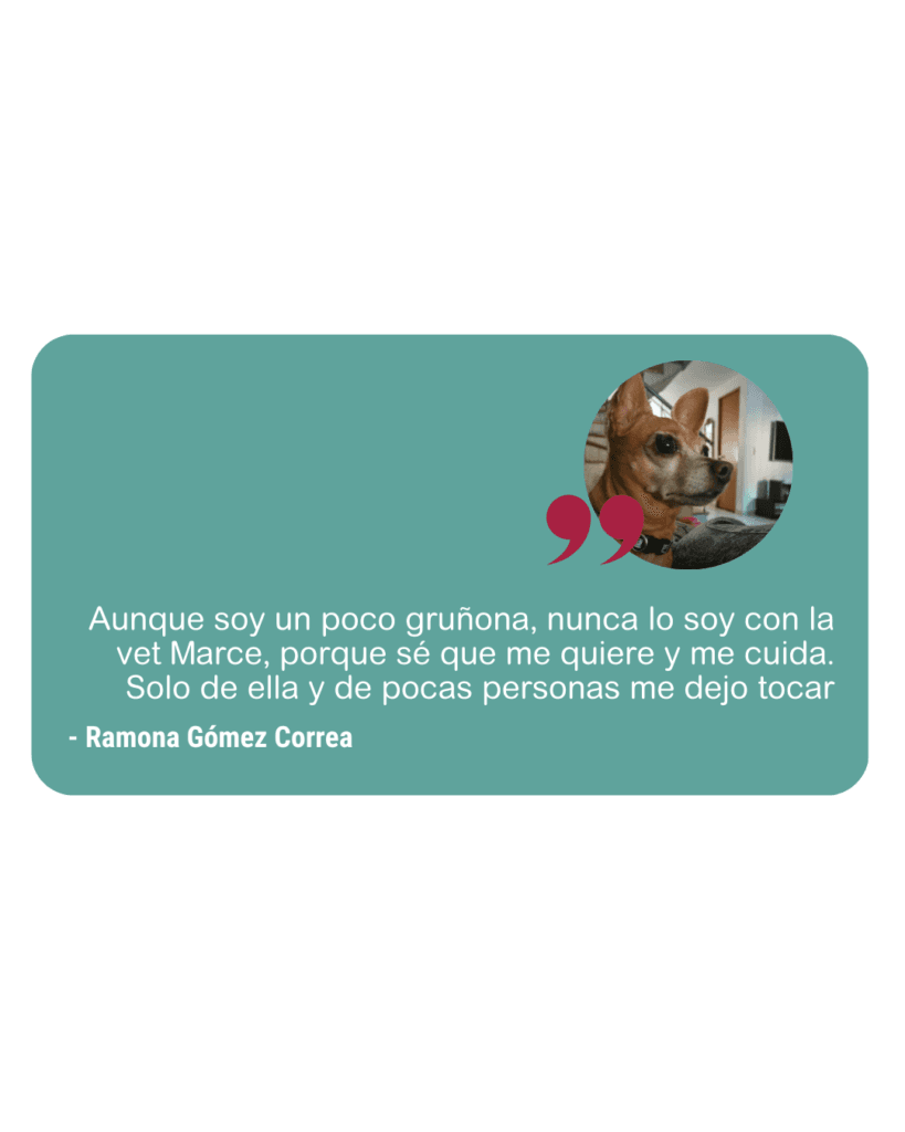 Reseña Amanimal 2