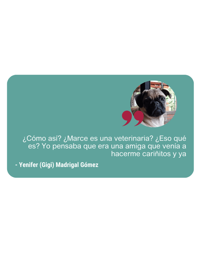 Reseña Amanimal 3