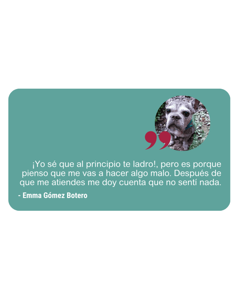 Reseña Amanimal 4