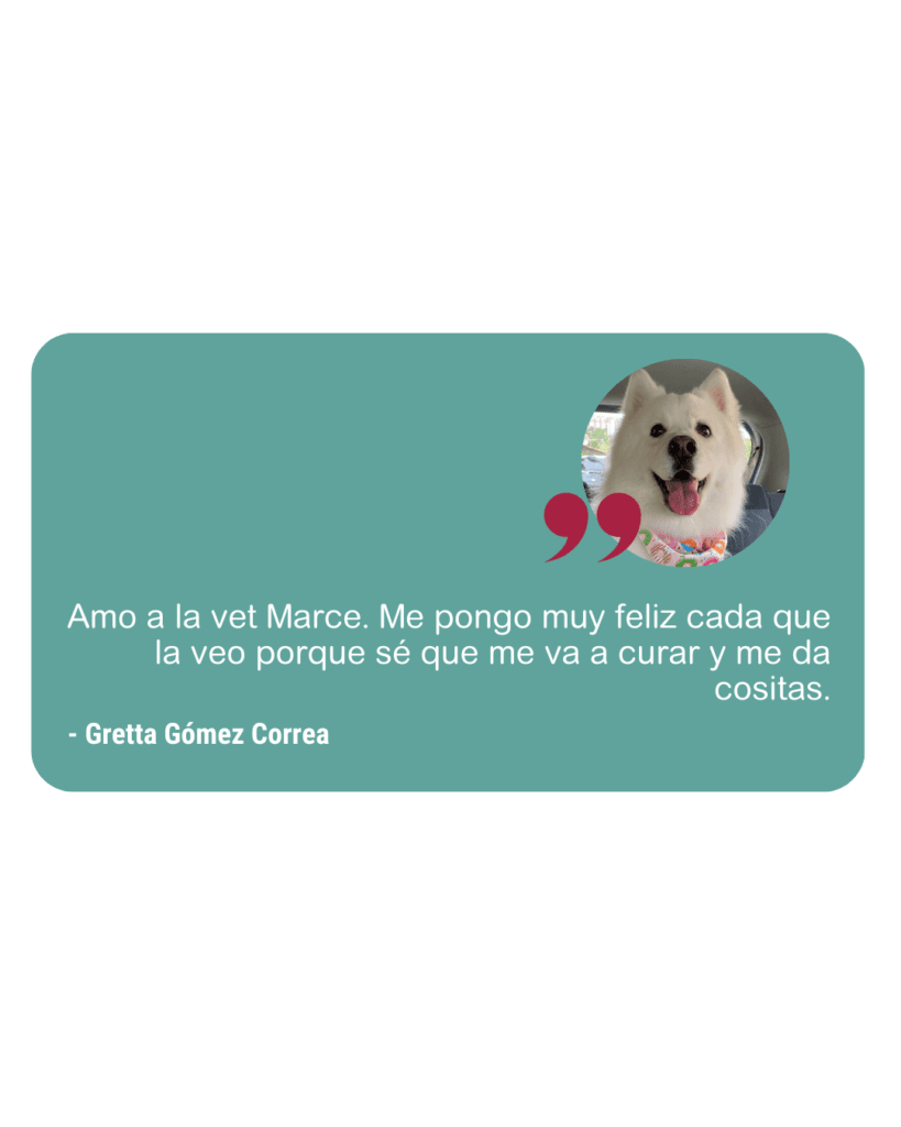 Reseña Amanimal 5